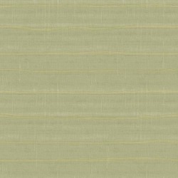 CRISTIANA MASI VITALIS 32435-PAR