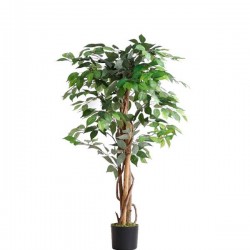 FICUS TREE NP0078_120   YΨΟΣ 120cm NewPlan