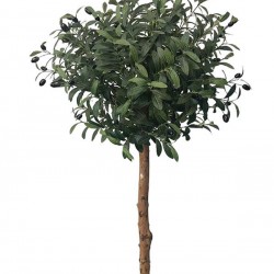 OLIVE TREE NP5807_150_22_UV ΥΨΟΣ 150cm NewPlan