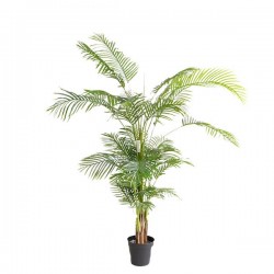 PALM TREE  NP5502_180_22   ΥΨΟΣ 180cm NewPlan